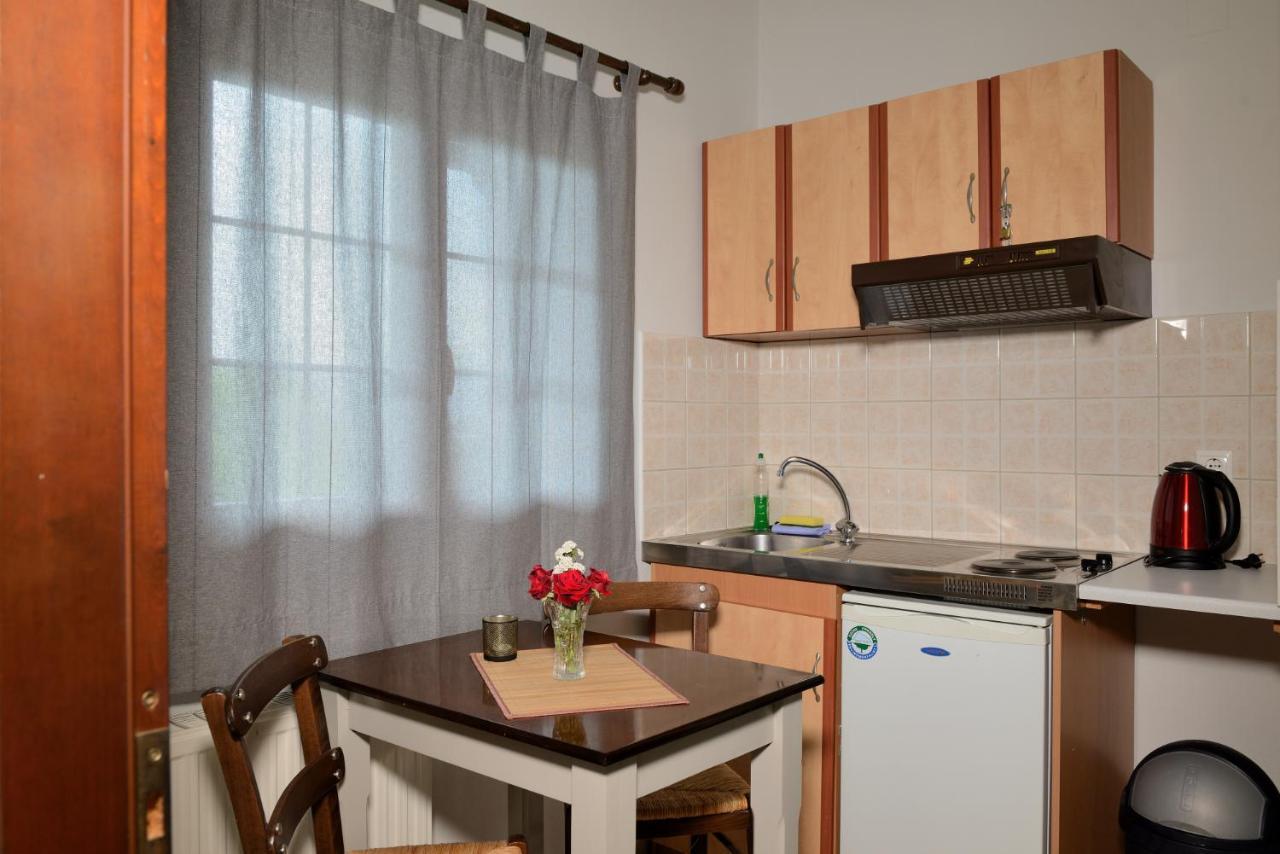 Artemis Apartments Konitsa Exteriör bild