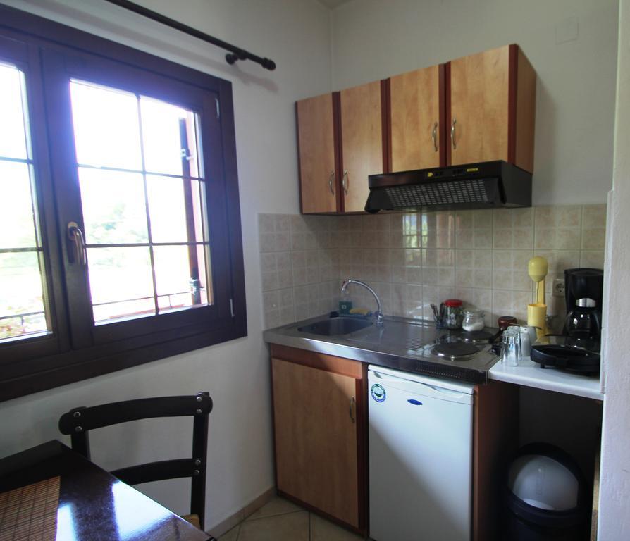 Artemis Apartments Konitsa Rum bild