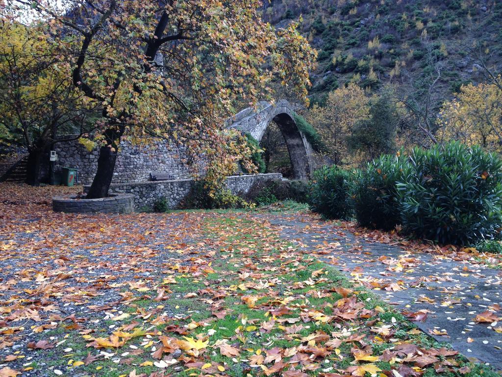 Artemis Apartments Konitsa Exteriör bild