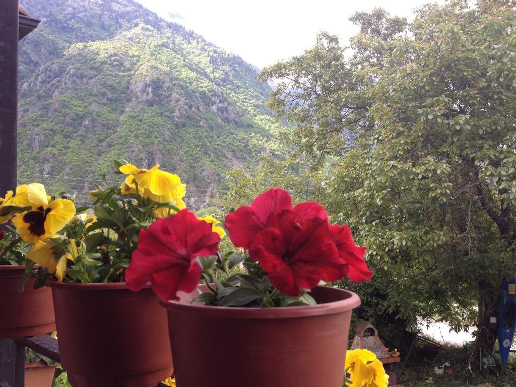 Artemis Apartments Konitsa Rum bild