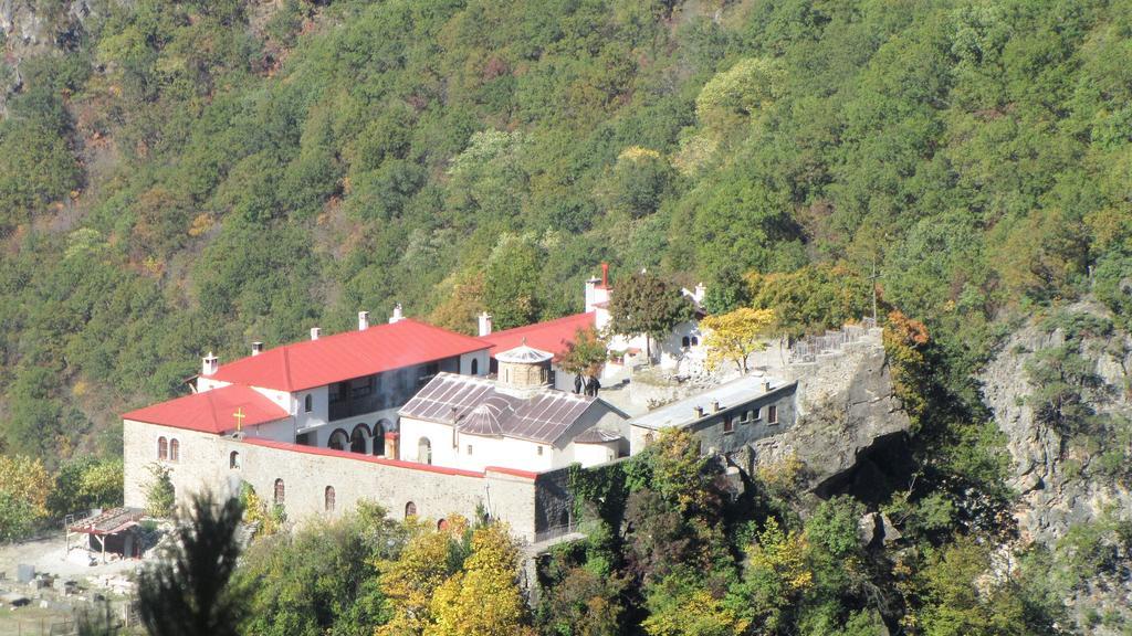 Artemis Apartments Konitsa Exteriör bild